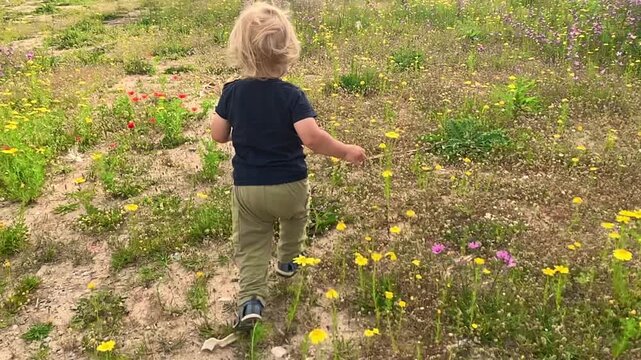 Toddler exploring a wildflower meadow in springtime