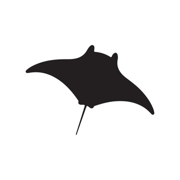 Stingray Manta ray silhouette. vector illustration