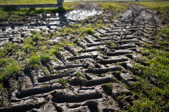 Deep tractor tire tracks in muddy pasture ground on an Australian farm