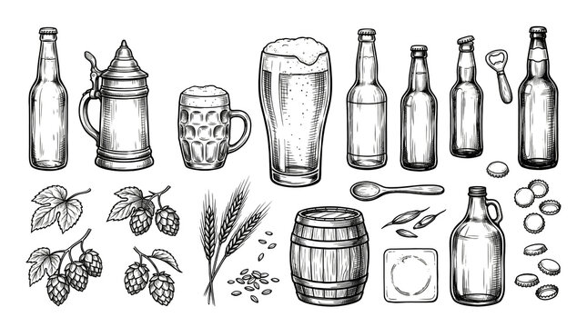 Hand drawn beer brewing set with bottles, mugs, hops, barley and brewing accessories isolated on white background.