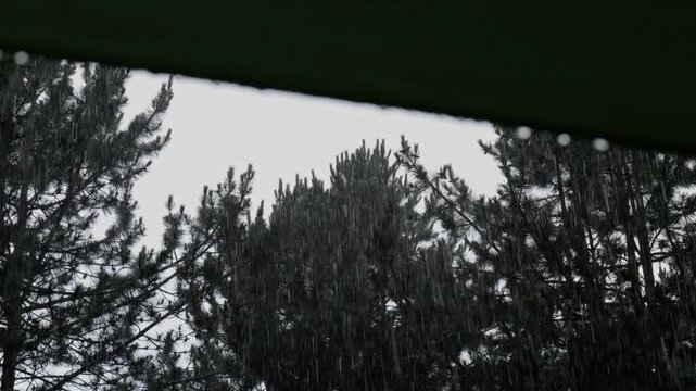Water dripping from upper window frame with heavy rain and hail falling over pine trees during a severe storm
