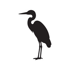 Fototapeta premium silhouette of heron full length