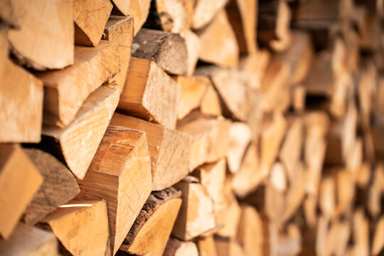 View of a stack of chopped firewood logs with visible wood grain and texture in Riga, Latvia.