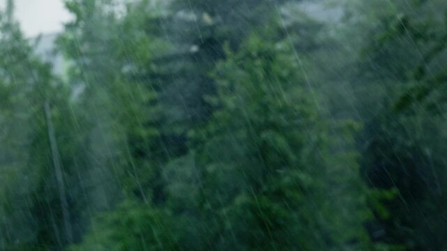 Heavy rain and hail pouring over windblown trees viewed from inside through a window
