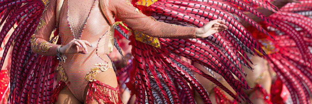 A woman in costume dancing on carnival, dancers during the carnival