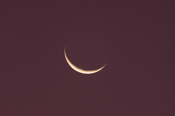 Slender crescent moon glowing in a deep purple dusk sky © will