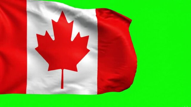 Canada Flag Waving on Green Screen, Chroma Key Background