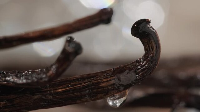Cinematic fixed macro super slow-motion close-up of a drop of vanilla essence falling from the tip of a textured vanilla bean pod. Shallow depth of field and a soft bokeh background highlight the glis