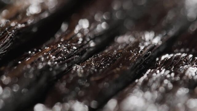 Cinematic macro close-up featuring a downward panning motion across vanilla bean pods with a very shallow depth of field. Selective focus highlights the textured, sparkling surfaces