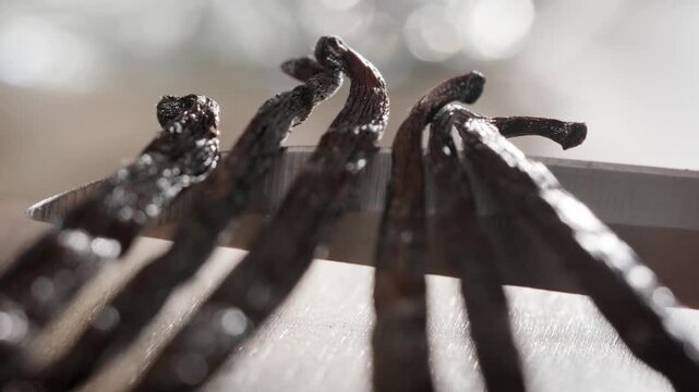 Cinematic macro close-up featuring a forward dolly-in motion across several vanilla bean pods placed over a knife blade. Shallow depth of field and backlighting highlight their rich textures