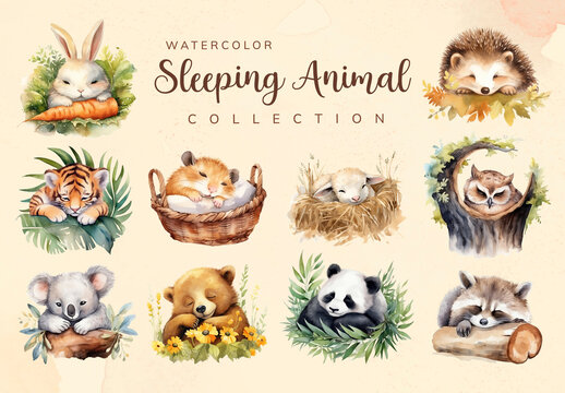 Adorable Watercolor Sleeping Animals Element Design Set