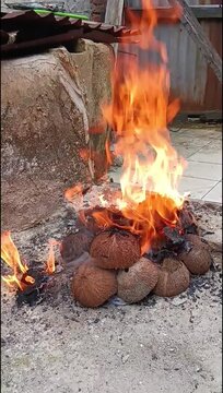 Burning Coconut Shells and Husks as Sustainable Biomass Fuel
