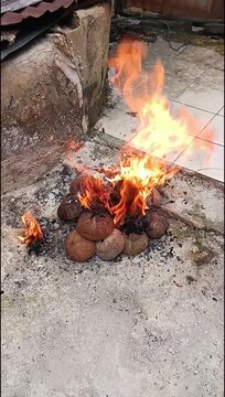 Burning Coconut Shells and Husks as Sustainable Biomass Fuel