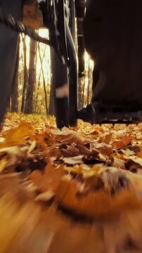 An adult bicyclist pedals a bike along a leaf-covered trail in a vibrant autumn forest, bright leaves swirl around, part of recreation and cycling activity amid seasonal foliage in cool air
