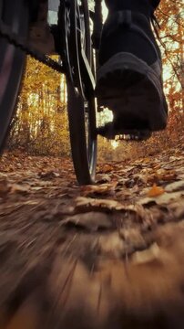 A person rides a bicycle along a winding park road, surrounded by vibrant yellow leaves and trees shedding foliage, capturing a moment of outdoor recreation and cycling on a sunny autumn day