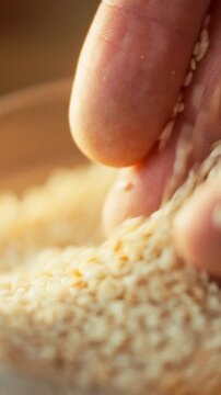 A man's hands scoop sesame seeds into a bowl for grain quality control in an agricultural setting, checking each seed during the thorough inspection process of the grain batch, to ensure consistency