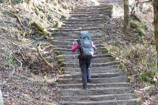 Eine einzelne Frau mit gro&szlig;em und schweren Rucksack steigt die scheinbar endlosen Steinstufen auf dem Mardi Himal Trek nach oben.