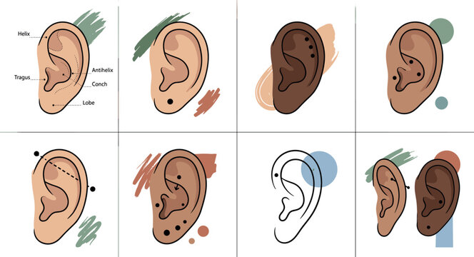 Human Ear Piercing Chart and Anatomy Diagram Vector Set Featuring Diverse Skin Tones Industrial Lobe Helix Tragus Conch and Cartilage Piercing Positions