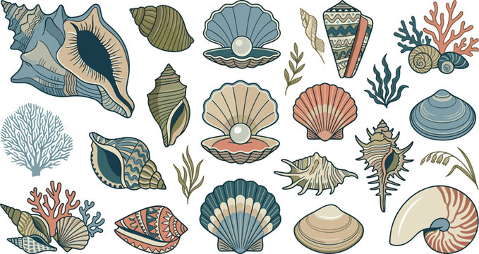Vintage Bohemian Seashell and Ocean Coral Vector Illustration Set Featuring Spiral Nautilus Scallop Clams with Pearls and Retro Marine Botanical Elements