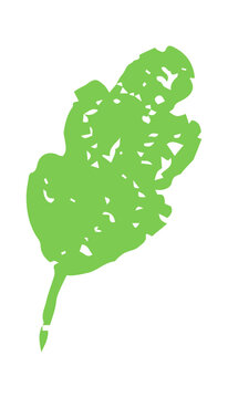 Hand drawn green leaf with rough crayon texture and playful childish style isolated on white background. Creative botanical doodle perfect for kids design, nature themes, spring decorations, nursery