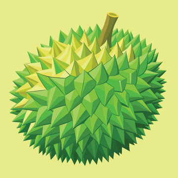 durian vector design illustration