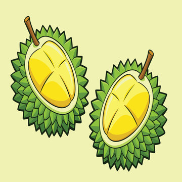 durian vector design illustration