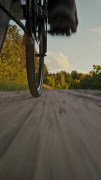 A cyclist pedals a bicycle along a dirt trail bordered by tall sunflowers at sunset, outdoor recreation and cycling, the warm glow highlights the natural landscape and creates a tranquil atmosphere