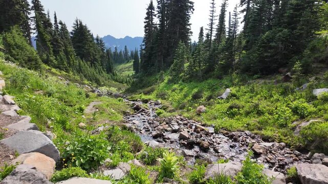 Scenic natural hill mountain. Breathtaking summer day in wild mountain with coniferous forest and green slopes. Mountain landscape with meadow. Mountainous landscape with cloudy sky
