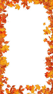 colorful autumn leaves border frame isolated on transparent background,png leaf thanksgiving and Halloween celebration video stream overlay vertical social media design element
