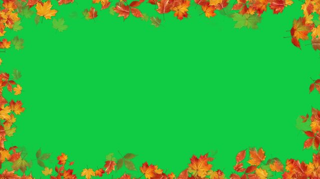 colorful autumn leaves border frame isolated green screen 4k animation,chroma key leaf thanksgiving and Halloween celebration video stream overlay social media motion design element