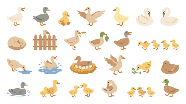 Duck collection featuring cute birds and farm animals for graphics.