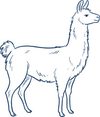 Naklejka premium Llama Standing Side View Line Art Hand Drawn Vector Illustration