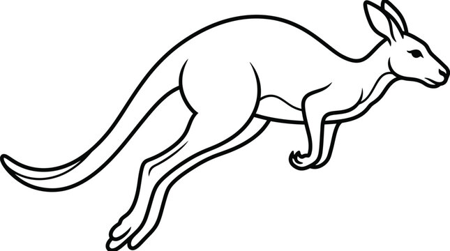 kangaroo vector illustration