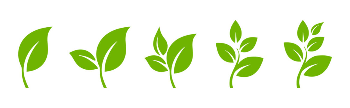 Green Leaf icon Collection.  Minimal Green Leaves Vector on White background. tree leaf symbol 