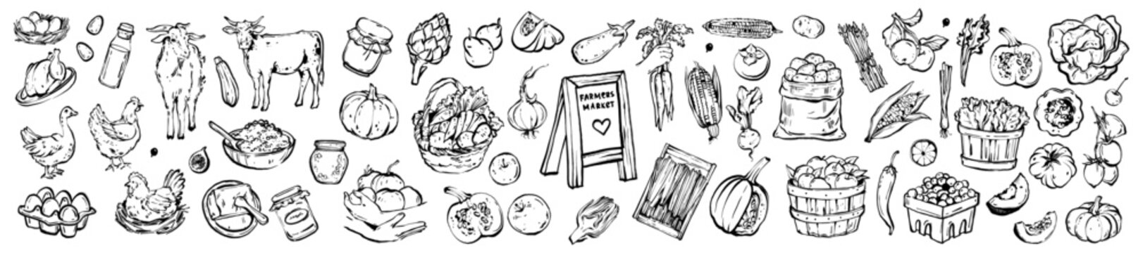 Farm market doodle, hand drawn whimsical harvest product illustration local natural produce icon. Autumn seasonal grocery print, village fresh vegetable fruit. Agriculture farm market seasonal graphic