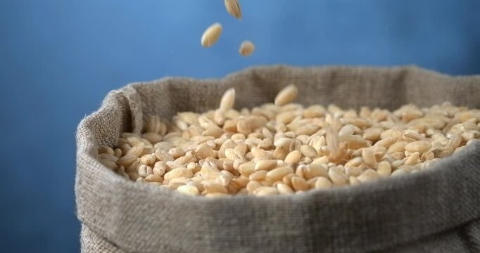 Pearl barley grains falling into burlap sack in super slow motion macro