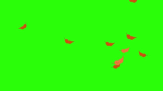 animated video of dry leaves floating down on a green screen with high intensity, the animated video can be used for things related to the dry season or autumn