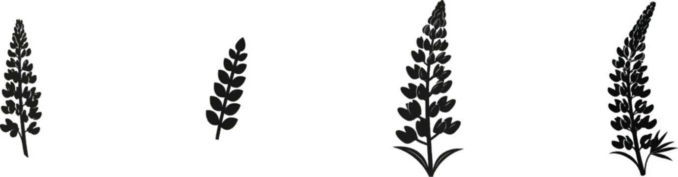 A premium black and white flat vector icon of a single lupine flower spike, solid black lines and fills, modern UI style, exclusive minimalist design, isolated on a pure white background