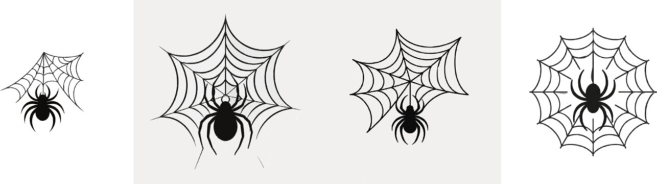 A premium black and white flat vector icon of a spider web with a spider hanging, solid black lines and fills, modern UI style, exclusive minimalist design, isolated on a pure white background
