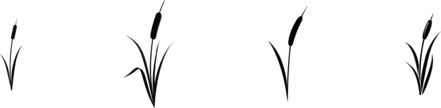 A premium, minimalist black and white flat vector icon of a tall cattail plant from a marsh, featuring solid black lines and fills, isolated on a pure white background