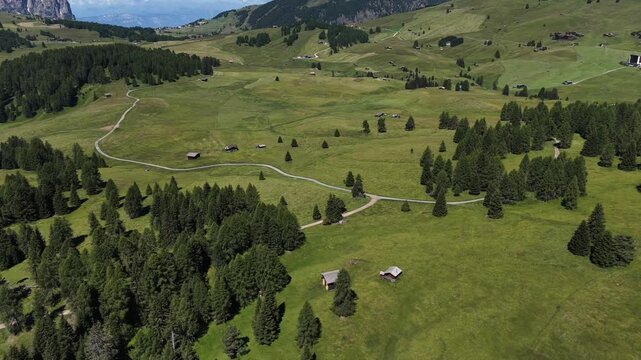 Seiser Alm or Alpe di Siusi, Dolomites Alps, Sassolungo and Sassopiatto mountains, Trentino Alto Adige, South Tyrol, Italy, Europe