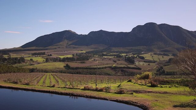 Aerial pan shot: Vineyard at lake shore in lush green valley and mtns