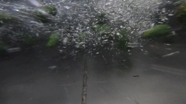 Underwater view as avocados in water flume bash and pummel camera