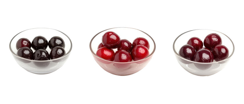 Capulin Cherries Prunus serotina Varieties Botanical Collection Edible Fruit Sets Agricultural Culinary Study