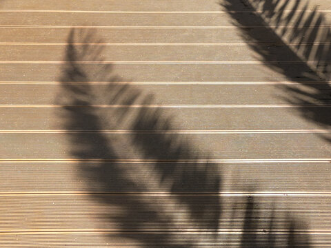 Palm leaf shadow on sun heated terrace during hot tropical summer