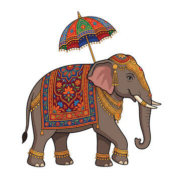 Decorated Indian Elephant with Umbrella and Traditional Ornaments