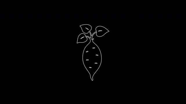 Beetroot Outline Icon on Black Background