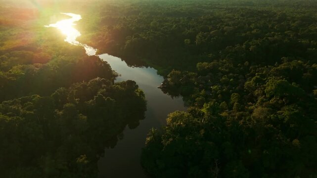 Aerial drone shot flying over a winding river through the lush amazon rainforest in ecuador at sunset