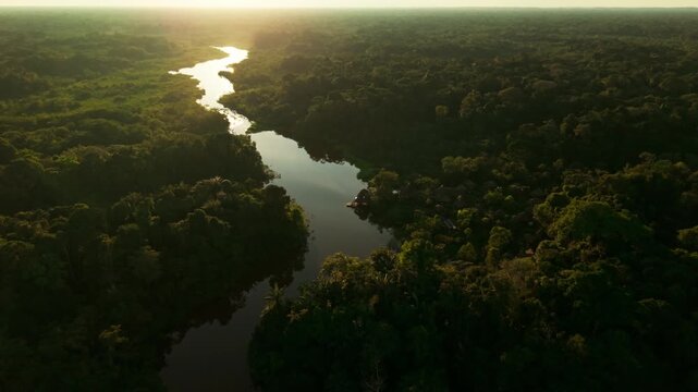 Aerial view of the amazon river winding through the lush rainforest with the sun reflecting on water, panning shot