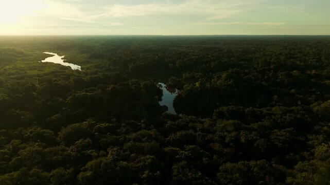 Majestic aerial flight over a winding river in the lush amazon rainforest during a golden sunset